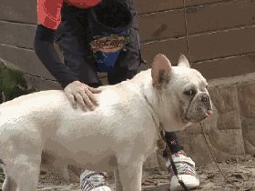 1477014948758785.gif